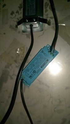 IMAG0878.jpg