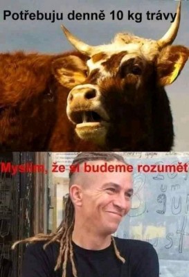 trava.jpg