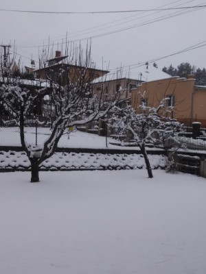 IMG_20200228_093937.jpg