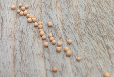 mozna_molecular_sieves.JPG