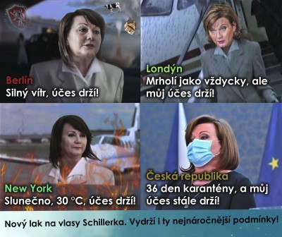 vlasy.jpg