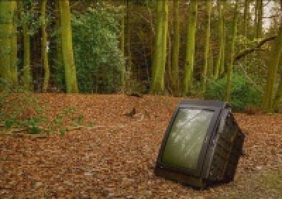 TV lesní.jpg