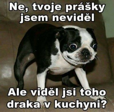 drak_v_kuchyni.jpg