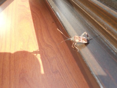DSCN1636.JPG