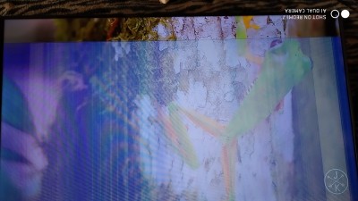 IMG_20200922_144728.jpg