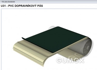 dopravnikovy pas.jpg