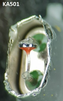 KA501.jpg