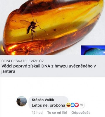 df.jpg