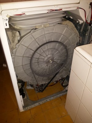 20201205_164559.jpg