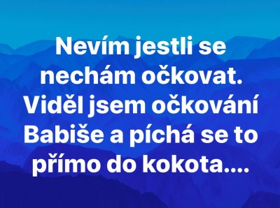 kokot.jpg