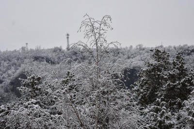 DSC_0792a.JPG