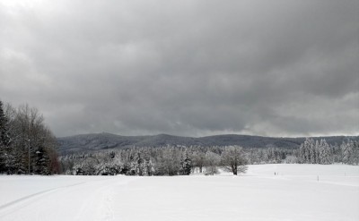 WP_20210115_16_25_45_Pro.jpg