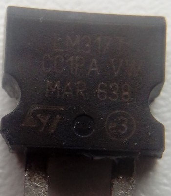 317.jpg