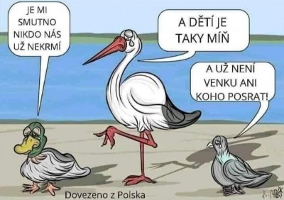 ptaci.jpg