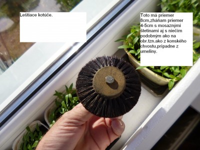 P1020431.JPG