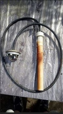 spinac.JPG