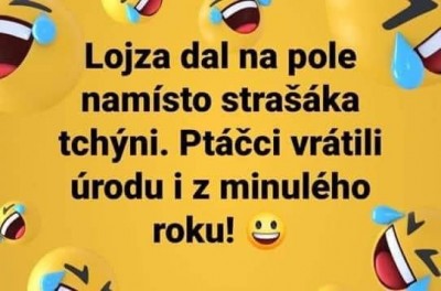 strasak.jpg