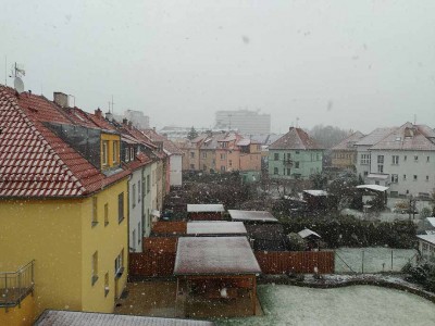 bile velikonoce.jpg