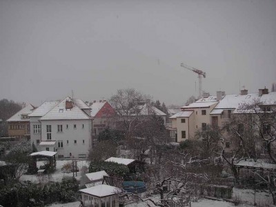 zima.jpg