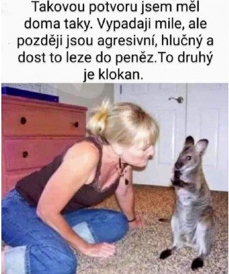 hehe.jpg