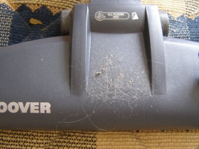 hoover_binec.jpg