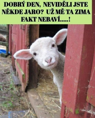 kdejejaro.jpg