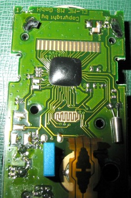 ista_4.jpg