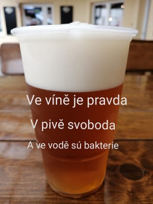 pravdasvobodabakterie.jpg
