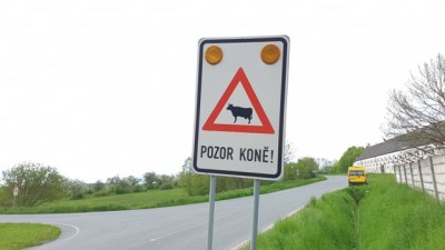 krávička.jpg