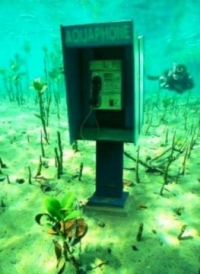 aquaphone.jpg