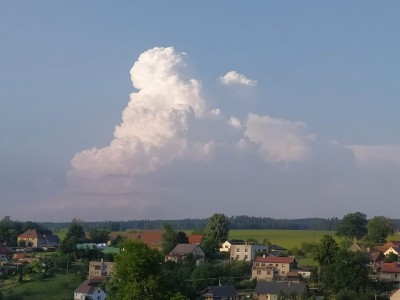 20210629_1908.jpg