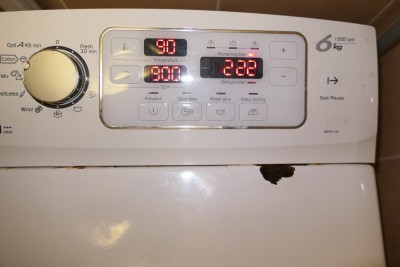 brandt02.jpg