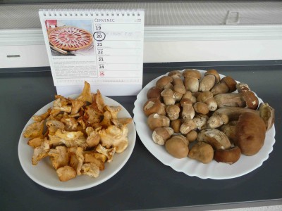 Dnešní, premiérový úlovek