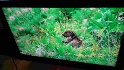 TV SAMSUNG OK.jpg