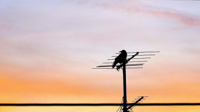 antena-signal-tv-prijem-1.jpg