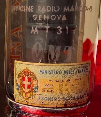 MT31.jpg