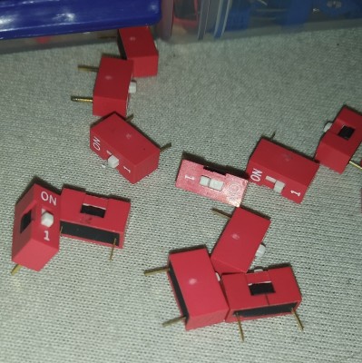 dipy3.jpg