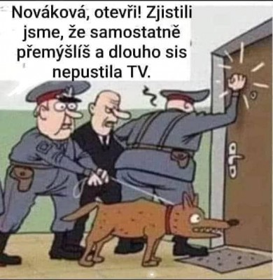 bez komentáře