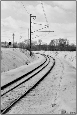 CRW_0346.jpg