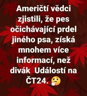 ct24.jpg