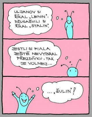 sulin.jpg