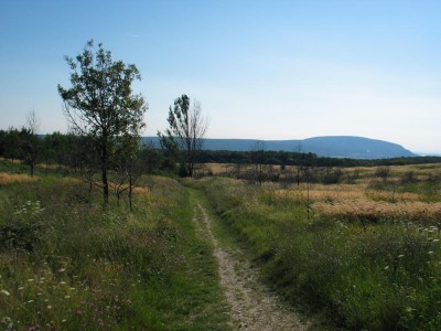 IMG_7236.JPG