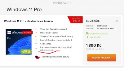 Windows 11.jpg