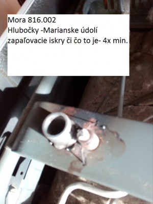 porak naš 003.jpg