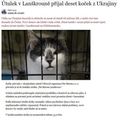 utulekLA.jpg