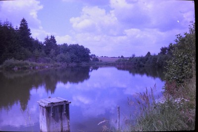 PICT0134.JPG