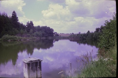 pict0134_172.jpg