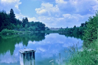 test2.jpg
