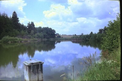 uprPICT0134_172.jpg