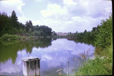 pict0134_172.jpg